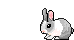 (ارنب)